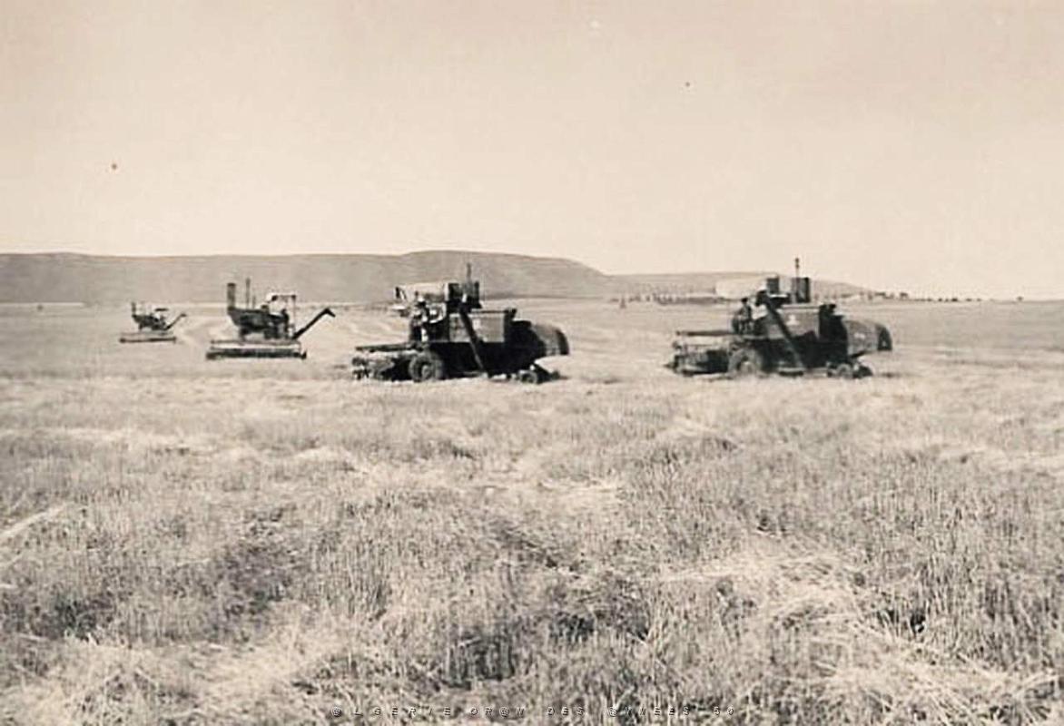 protection des moissons 3.jpg